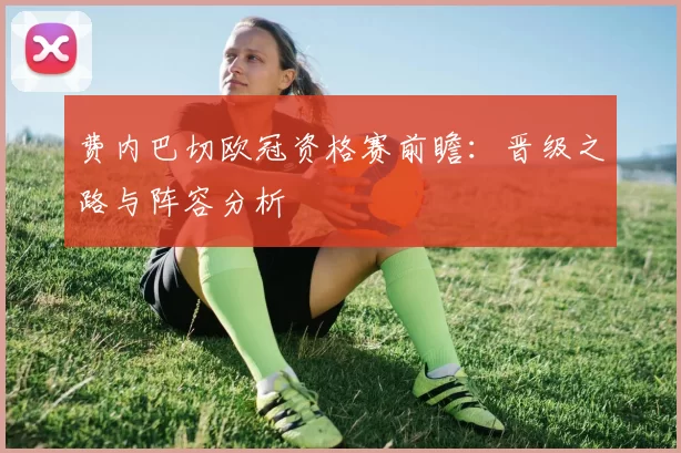 费内巴切欧冠资格赛前瞻:晋级之路与阵容分析