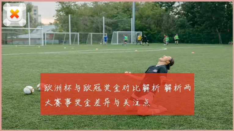 欧洲杯与欧冠奖金对比解析 解析两大赛事奖金差异与关注点