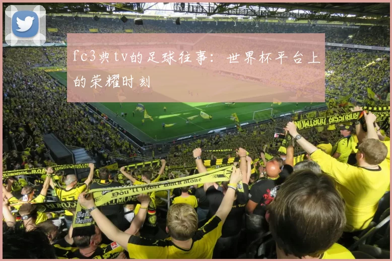 fc3典tv的足球往事：世界杯平台上的荣耀时刻