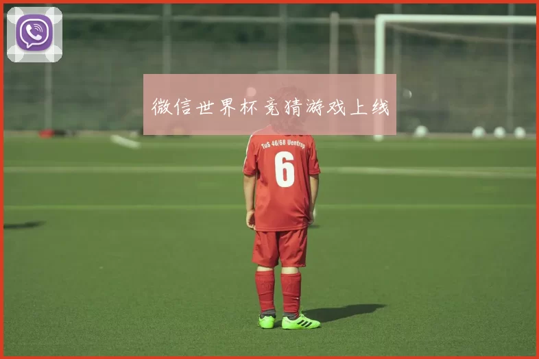 微信世界杯竞猜游戏上线