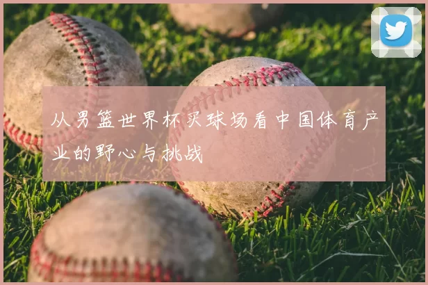 从男篮世界杯买球场看中国体育产业的野心与挑战