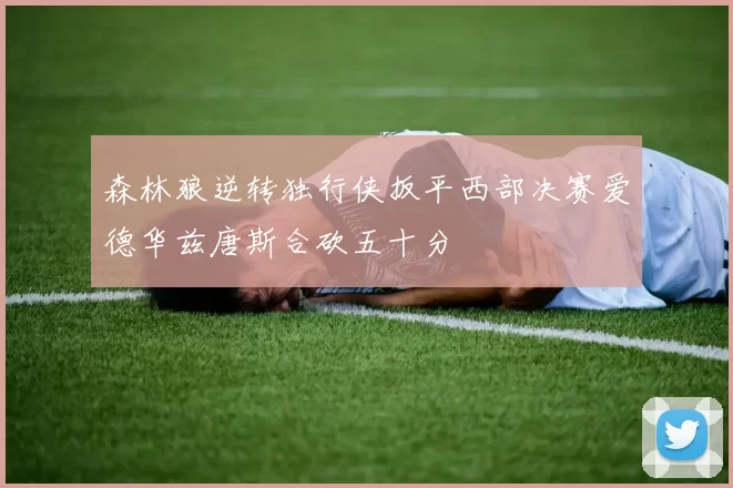 森林狼逆转独行侠扳平西部决赛爱德华兹唐斯合砍五十分