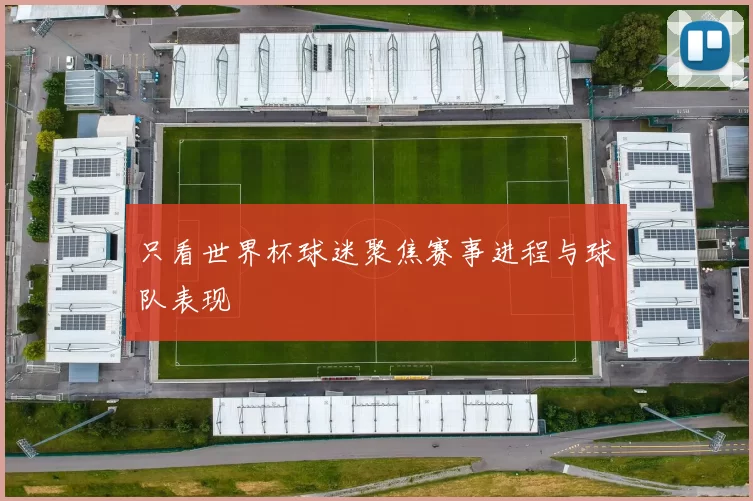 只看世界杯球迷聚焦赛事进程与球队表现