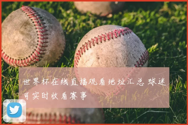 世界杯在线直播观看地址汇总 球迷可实时收看赛事