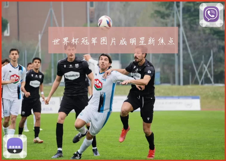 世界杯冠军图片成明星新焦点
