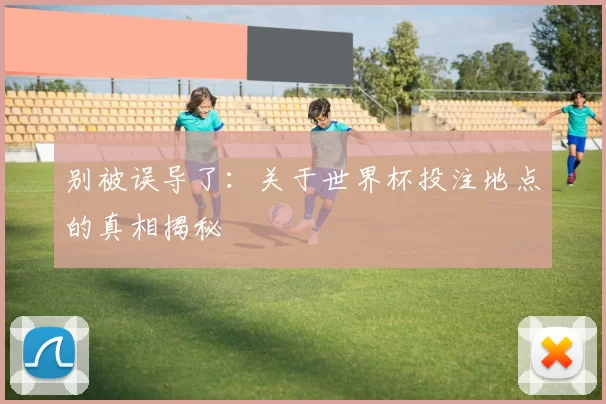 别被误导了:关于世界杯投注地点的真相揭秘