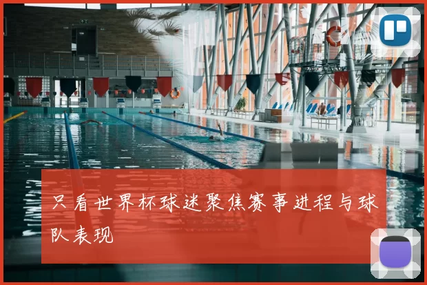 只看世界杯球迷聚焦赛事进程与球队表现